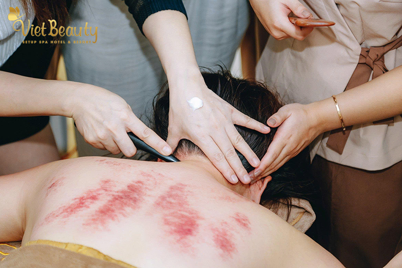 Liệu pháp bài độc lục phủ ngũ tạng bằng tinh dầu ngũ hành Bhagavad Tạng Ấn | VietBeauty Success Business