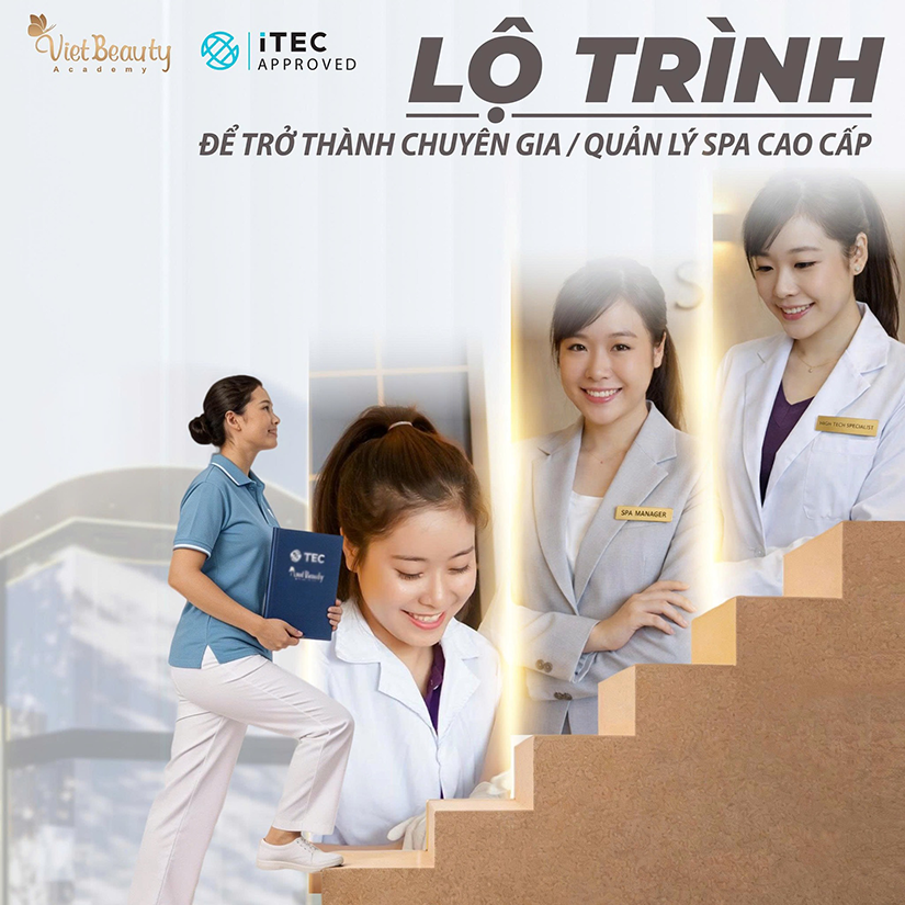 Lộ trình để trở thành chuyên gia hay quản lý Spa cao cấp | VietBeauty Academy